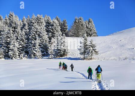 Randonnée en raquettes sur le Beilenberg dans un magnifique paysage d'hiver. Sonthofen, Haut-Allgaeu, Souabe, Bavière, Allemagne Banque D'Images