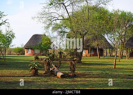 Camp de Ndlovu , Hlane Royal Nationalpark , Swaziland, Afrique Banque D'Images