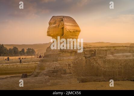 Grand Sphinx, Giza, le Caire, Égypte Banque D'Images