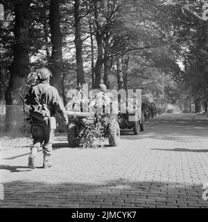 Les hommes du bataillon du 2nd, South Staffordshire Regiment avancent vers Arnhem, remorquant avec eux un pistolet anti-char de 6 lieurs, le 18 septembre. Banque D'Images