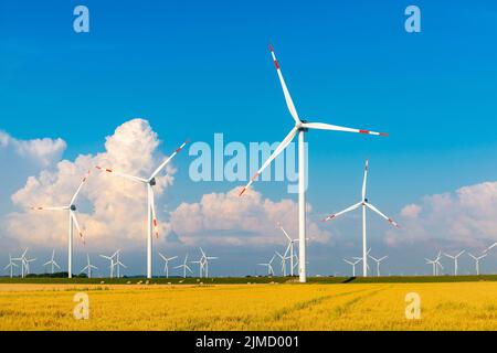 Éoliennes dans les marais de Reussenkoege, agriculture, culture des céréales, ciel bleu, Nord de la Frise, Schleswig-Holstein, Allemagne Banque D'Images