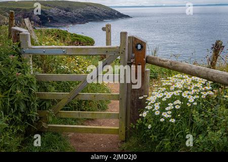 Porte sur le chemin de la côte de Pembrokeshire / Wales Nr St Davids à Pembrokeshire, pays de Galles. Banque D'Images