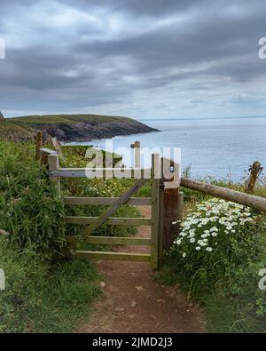 Porte sur le chemin de la côte de Pembrokeshire / Wales Nr St Davids à Pembrokeshire, pays de Galles. Banque D'Images