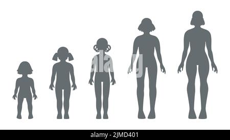 Silhouettes pour filles. Tout-petit, bébé, fille d'école, préadolescent, dame d'adolescence. Stades de croissance des femelles de différents âges Illustration de Vecteur