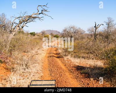 La route en avant à travers la brousse sud-africaine sur route de gravier sous ciel bleu. Banque D'Images