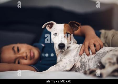 Mon homme et moi, étaient les meilleurs bourgeons. Un adorable petit garçon jouant avec son chien sur le lit à la maison. Banque D'Images