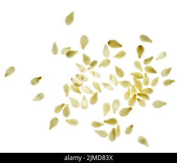 Cesame sur blanc Banque D'Images