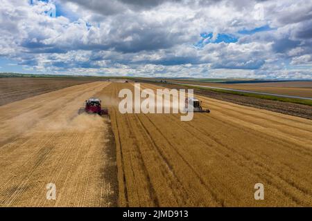 Vue aérienne de la moissonneuse-batteuse sur le champ de récolte Banque D'Images