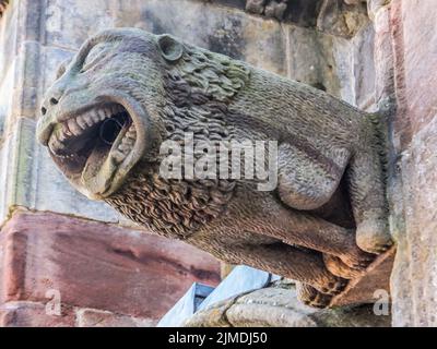 Ce gargouille de lion orne l'extérieur du château de Rosslyn à Roslin, Midlothian, Écosse, Royaume-Uni. Banque D'Images