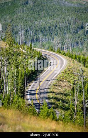 Paysage au sentier de Mt Washburn dans le parc national de Yellowstone, Wyoming, États-Unis Banque D'Images