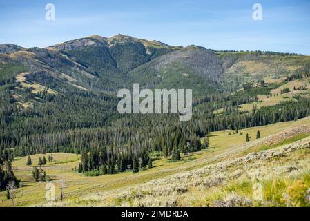 Paysage au sentier de Mt Washburn dans le parc national de Yellowstone, Wyoming, États-Unis Banque D'Images