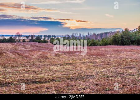 Paysage du début du printemps avec coucher de soleil sur le lac Banque D'Images