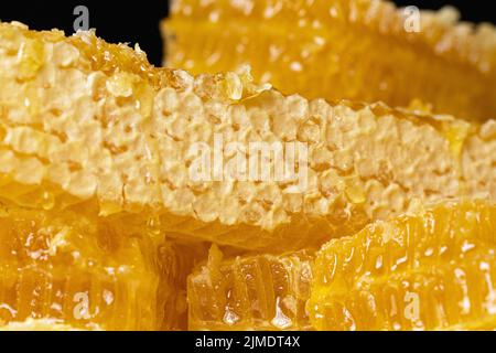 Nid d'abeille frais et fermé recouvert de cire sur fond sombre Banque D'Images