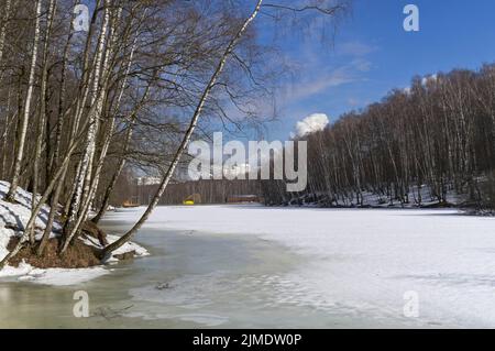 Étang début avril, jour ensoleillé. Banque D'Images