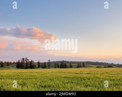 Paysage de nuages magnifiquement éclairé sur le parc Athalassa à Nicosie, Chypre tard dans l'après-midi. Banque D'Images