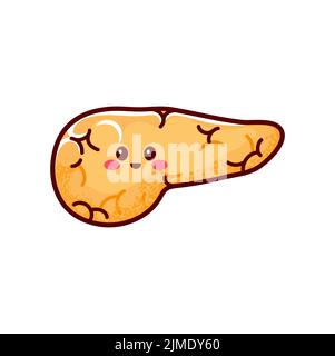 Grande glande dans les pancréases jaunes de l'estomac, organe interne humain, partie interne du corps. Vector Healthy pancréas icône, adorable personnage de dessin animé émoticône Illustration de Vecteur