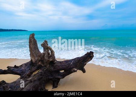 Plage de Lamai à Ko Samui, Thaïlande, Asie Banque D'Images