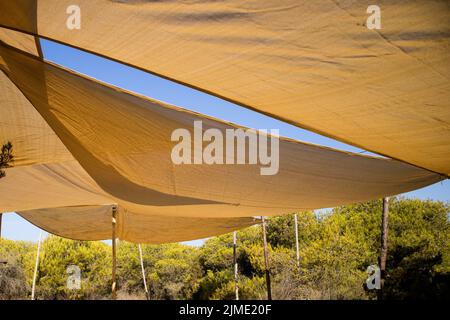 Voiles de protection solaire Banque D'Images