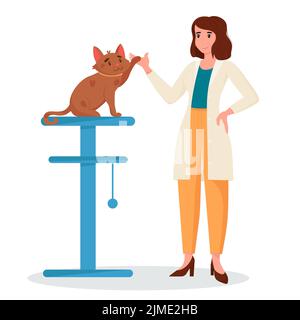 Rendez-vous vétérinaire. Un vétérinaire féminin traite un chien. Soins aux animaux, diagnostic médical des animaux. Illustration vectorielle plate Illustration de Vecteur