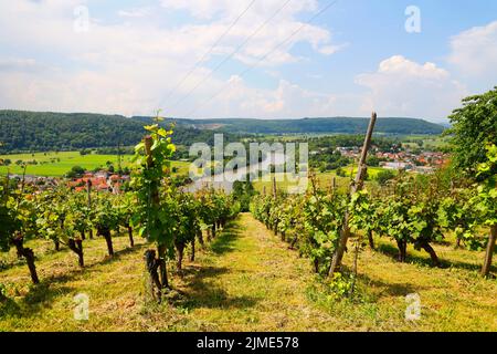 La vallée du Neckar, vue de la Michelsberg, Gundelsheim, Bade-Wurtemberg en Allemagne, Europe Banque D'Images
