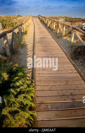 Passerelle menant à la mer dans le parc naturel de Viareggio Italie Banque D'Images