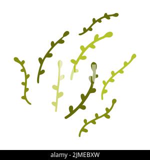Doodle délicat brindilles vertes. Branche de plante mignonne dessinée à la main isolée sur fond blanc. Herbe avec de petites feuilles. Illustration vectorielle florale pour interio Illustration de Vecteur