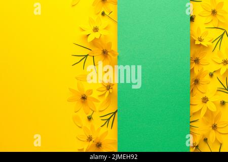 Mise en page fleurs avec bannière sur fond papier Banque D'Images