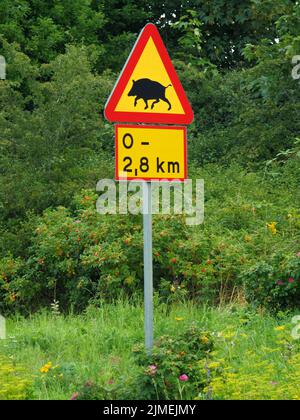 Sanglier, panneau de signalisation Banque D'Images