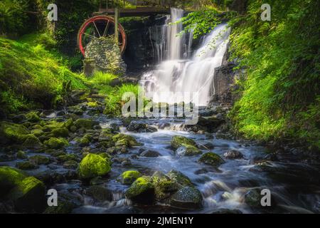 Rochers mousseux dans le ruisseau menant à la roue d'eau et à la chute d'eau dans le parc forestier de Glenariff, en Irlande du Nord Banque D'Images