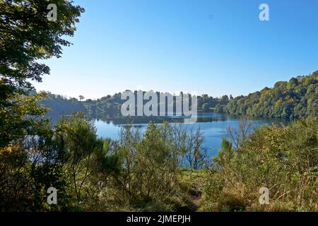 Photo d'un lac cratère, maar en automne en allemagne. Banque D'Images