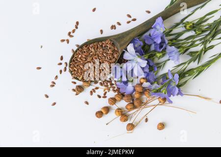 Composition de fleurs de lin et de suchara avec graines Banque D'Images