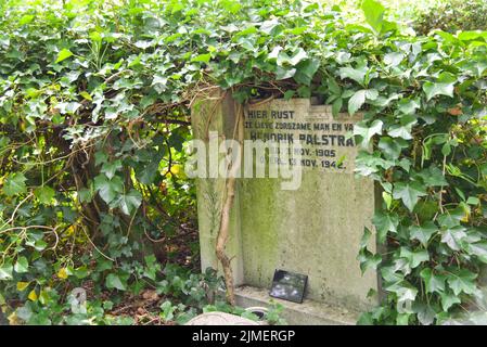 Amsterdam, pays-Bas. Juillet 2022. Tombes surcultivées dans le plus ancien cimetière d'Amsterdam. Photo de haute qualité Banque D'Images