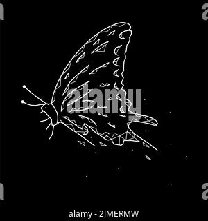 Magnifique papillon géométrique sur fond noir Banque D'Images