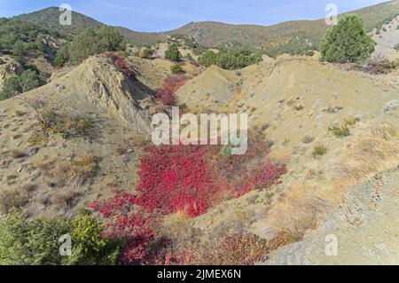 Automne dans les montagnes de Crimée. Banque D'Images