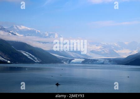 Alaska, Smith Glacier à gauche et Harvard Glacier dans College Fjord Banque D'Images