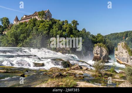 Wasserfall Rheinfall und Schloss Laufen BEI Neuhausen am Rheinfall, Schweiz, Europa | les chutes du Rhin et le château de Laufen, Neuhausen am Rheinfall, Suissel Banque D'Images