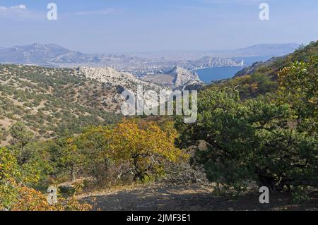 Automne dans les montagnes de Crimée. Banque D'Images