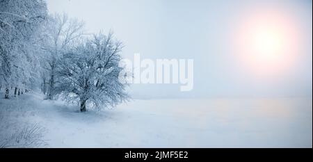 Panorama horizontal en hiver du champ enneigé et de l'arbre sous le soleil bas par temps gelé Banque D'Images