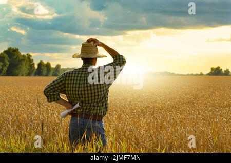 Agriculteur de chapeau de paille se tient prêt à la récolte du champ de blé Banque D'Images