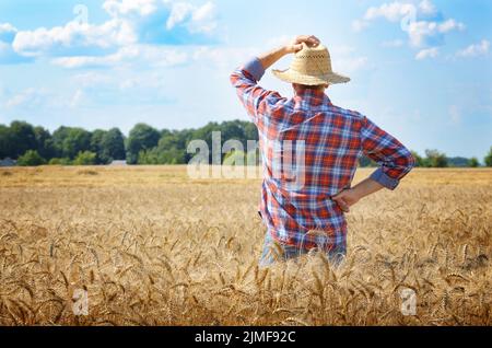 Agriculteur de chapeau de paille se tient prêt à la récolte du champ de blé Banque D'Images