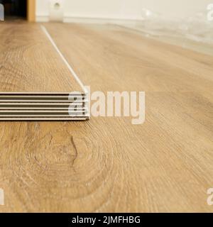 Cliquez sur plancher en vinyle pour vous installer dans le salon d'un appartement Banque D'Images