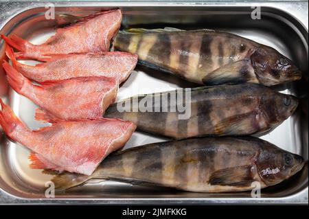Poisson vert frais brut et bar de mer Banque D'Images