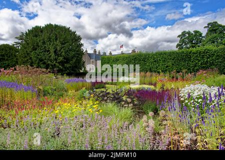 PITEDDEN GARDEN ABERDEENSHIRE ÉCOSSE EN ÉTÉ UNE ÉMEUTE DE FLEURS DE COULEUR DANS LE LIT DE FLEURS DU JARDIN SUPÉRIEUR Banque D'Images
