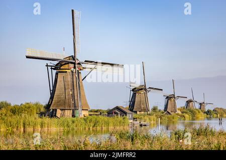 Image horizontale des célèbres moulins à vent hollandais de Kinderdijk, site classé au patrimoine mondial de l'UNESCO. Sur la photo sont cinq des 19 wi Banque D'Images