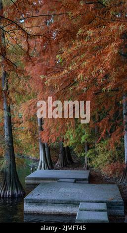 Un jour d'automne ensoleillé sur le plateau des six lacs à Duisburg Banque D'Images