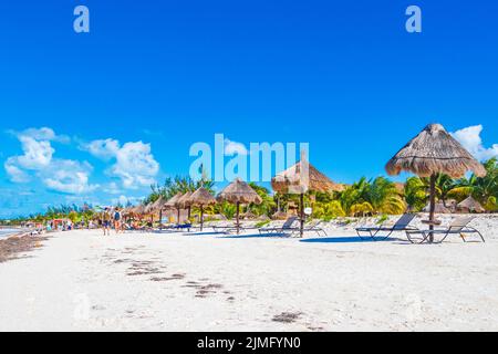 Belle Holbox Island plage de sable panorama palapa chaises longues Mexique. Banque D'Images