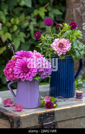 bouquet de fleurs de dahlia rose et violet et d'hortensia dans le jardin Banque D'Images