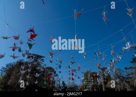 Firmat, Argentine. 05th août 2022. Un millier de grues Origami ont été suspendues lors de l'événement « Une journée pour la paix » marquant le 77th anniversaire du bombardement atomique d'Hiroshima par les États-Unis. (Photo par Patricio Murphy/SOPA Images/Sipa USA) crédit: SIPA USA/Alay Live News Banque D'Images