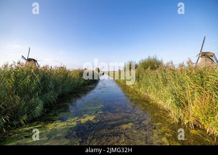 Image horizontale des célèbres moulins à vent hollandais de Kinderdijk, site classé au patrimoine mondial de l'UNESCO. Sur la photo sont cinq des 19 wi Banque D'Images