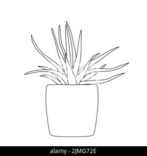 Plantes maison dessinées à la main dans des pots comprenant des outils de jardin d'aloès. Collection vectorielle de plantes à l'anses. Illustration de Vecteur